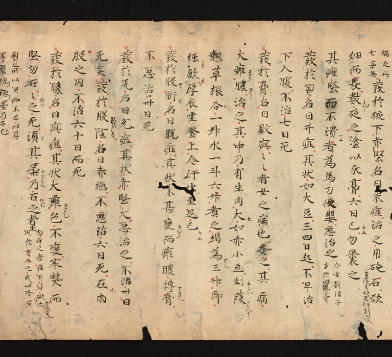 e国宝 - 医心方　巻十五　癕疽部 - ページ 11