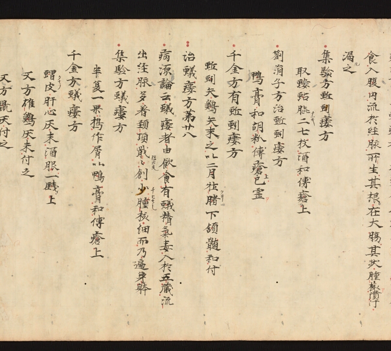 e国宝 - 医心方　巻十六　腫物部 - ページ 45
