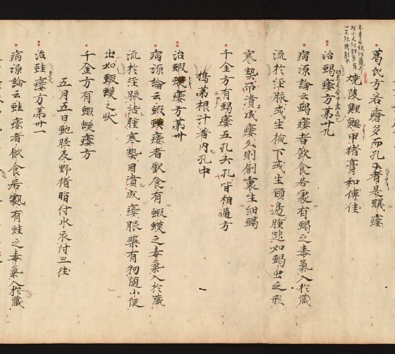 e国宝 - 医心方　巻十六　腫物部 - ページ 46
