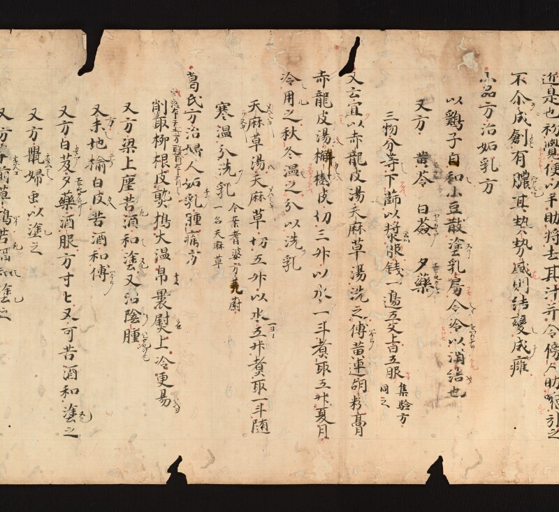 e国宝 - 医心方　巻二十一　婦人部 - ページ 5