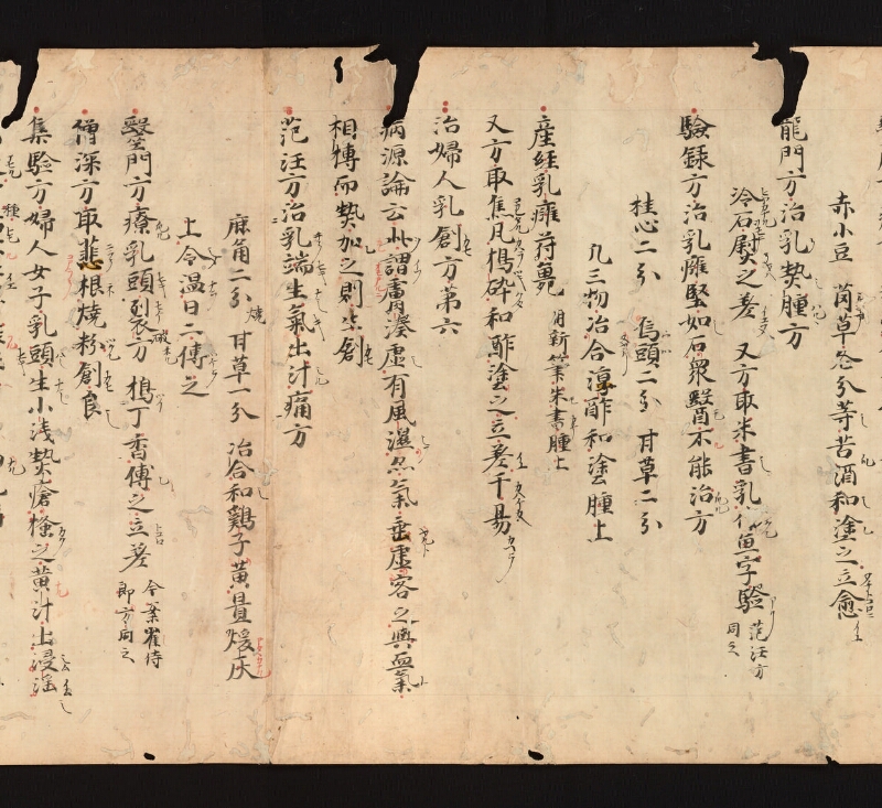 e国宝 - 医心方　巻二十一　婦人部 - ページ 8