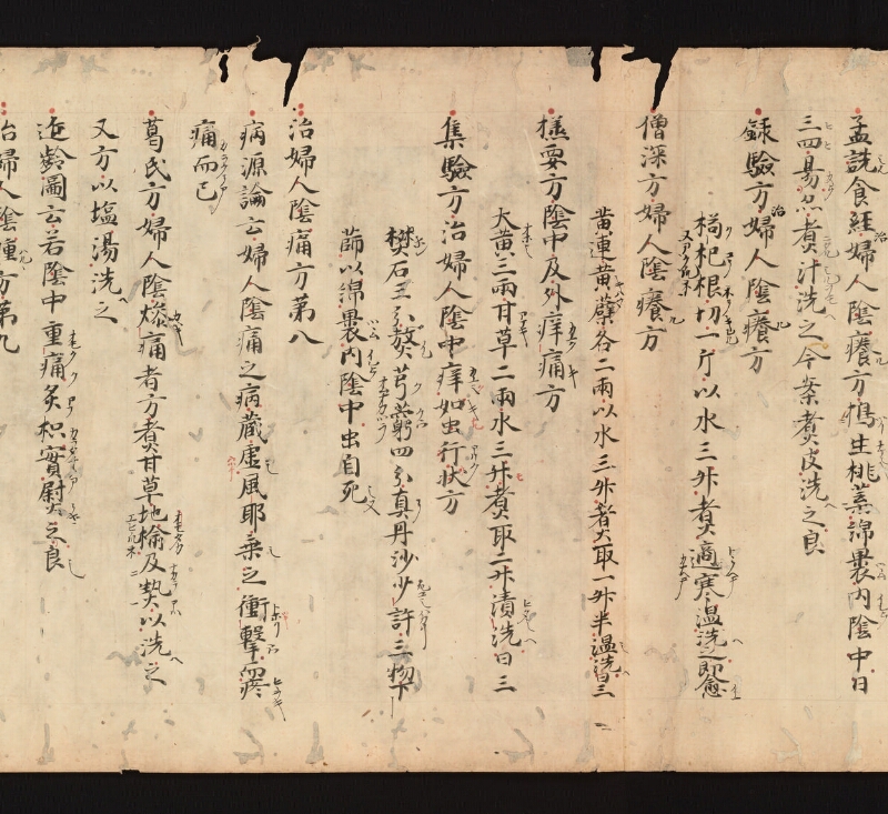 e国宝 - 医心方　巻二十一　婦人部 - ページ 10