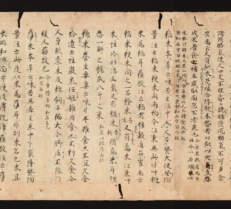 e国宝 - 医心方　巻三十　證類部 - ページ 10