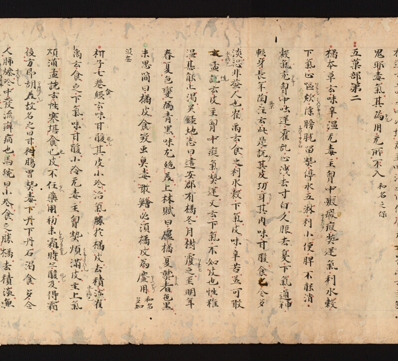 e国宝 - 医心方　巻三十　證類部 - ページ 13