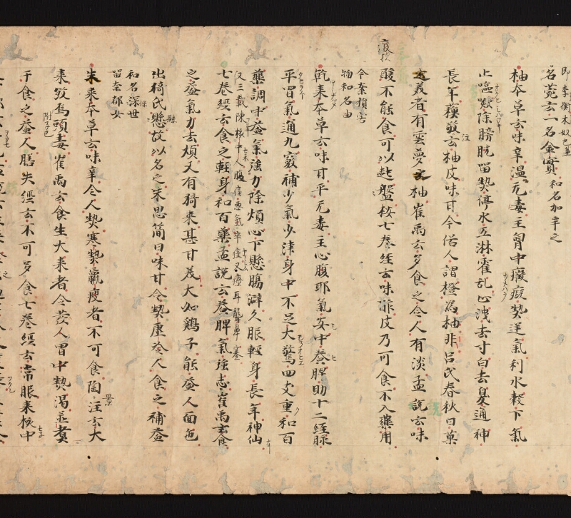 e国宝 - 医心方　巻三十　證類部 - ページ 14