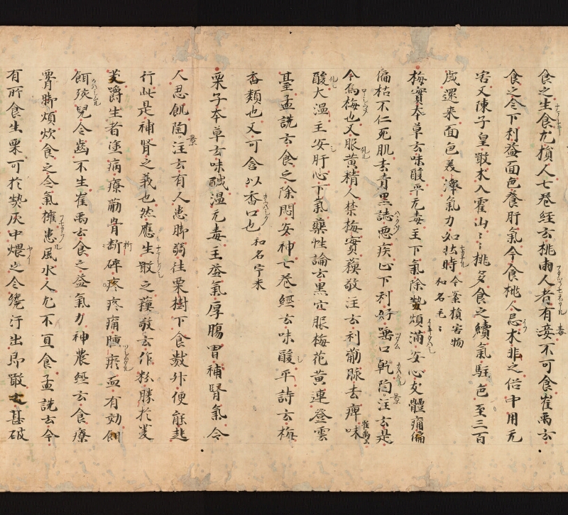 e国宝 - 医心方　巻三十　證類部 - ページ 16