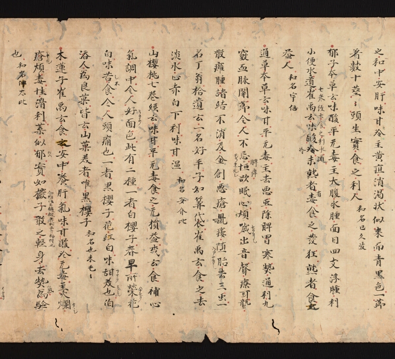 e国宝 - 医心方　巻三十　證類部 - ページ 19