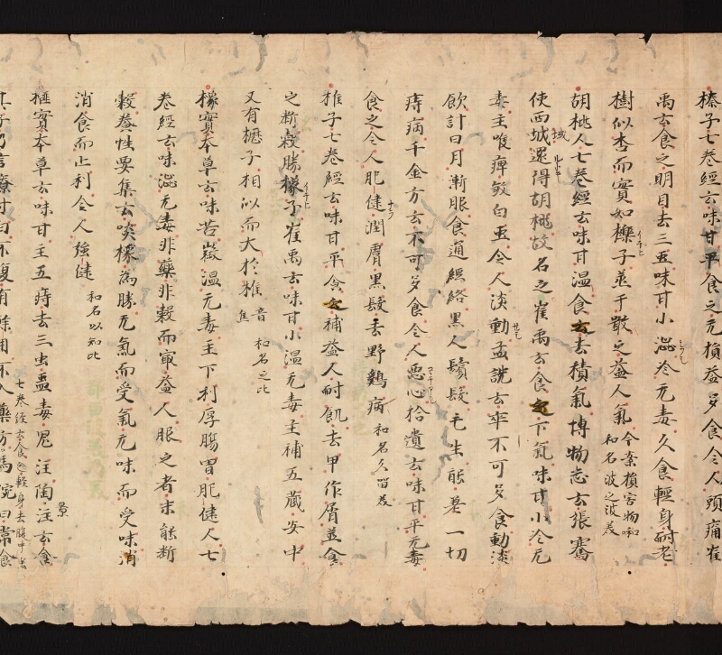 e国宝 - 医心方　巻三十　證類部 - ページ 20