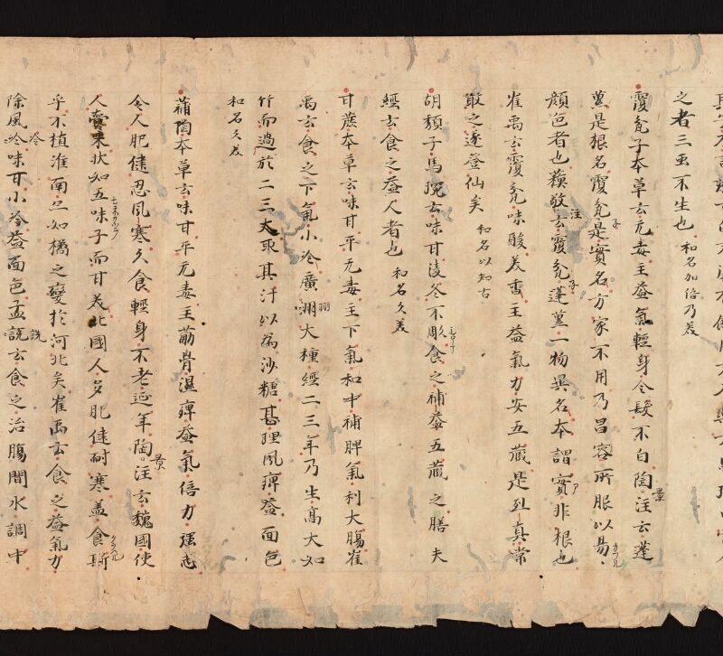 e国宝 - 医心方　巻三十　證類部 - ページ 21