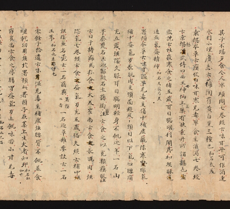 e国宝 - 医心方　巻三十　證類部 - ページ 22
