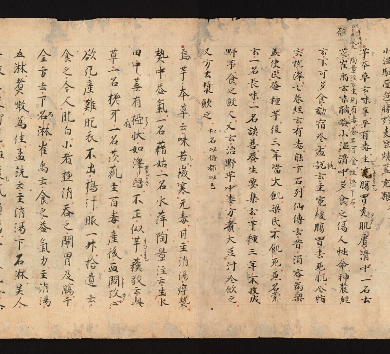 e国宝 - 医心方　巻三十　證類部 - ページ 23