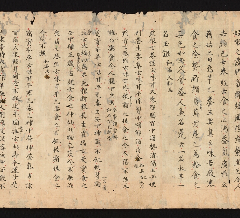 e国宝 - 医心方　巻三十　證類部 - ページ 24