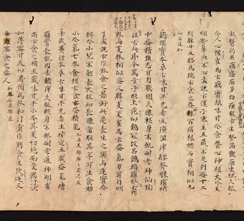 e国宝 - 医心方　巻三十　證類部 - ページ 25