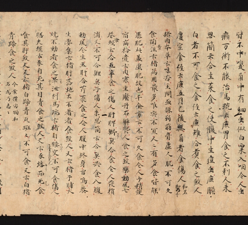 e国宝 - 医心方　巻三十　證類部 - ページ 28