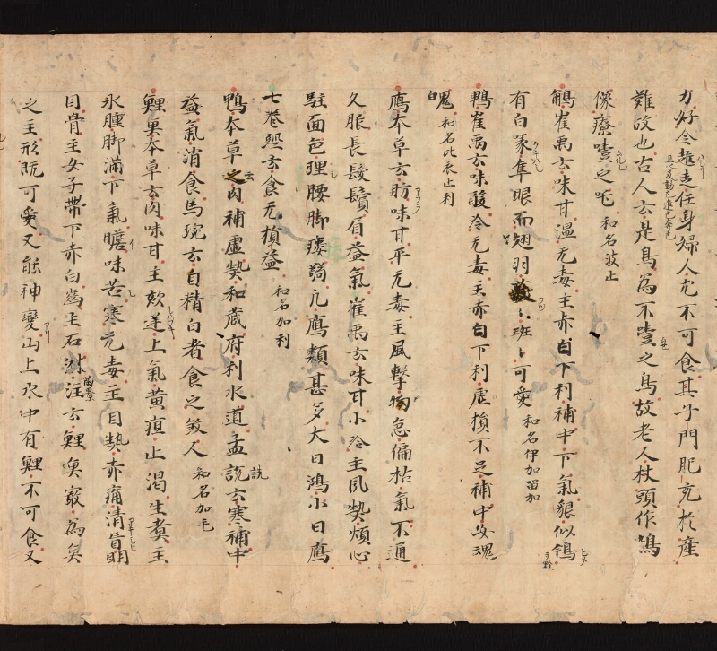 e国宝 - 医心方　巻三十　證類部 - ページ 30