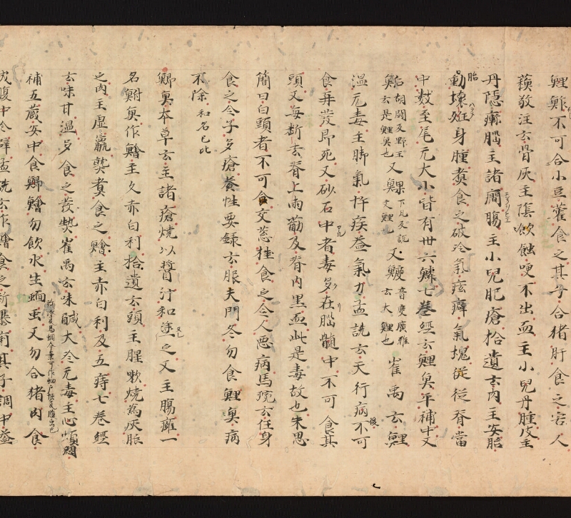 e国宝 - 医心方　巻三十　證類部 - ページ 31