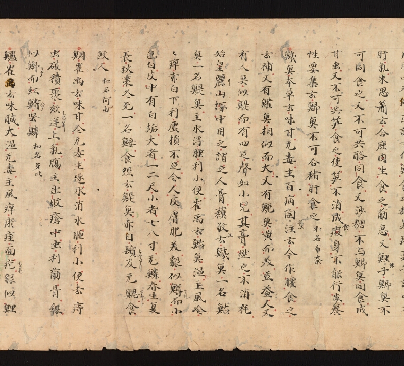 e国宝 - 医心方　巻三十　證類部 - ページ 32