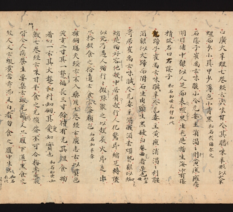 e国宝 - 医心方　巻三十　證類部 - ページ 38