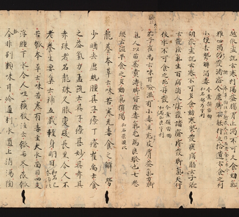 e国宝 - 医心方　巻三十　證類部 - ページ 41