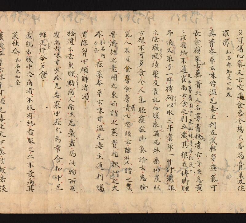 e国宝 - 医心方　巻三十　證類部 - ページ 45