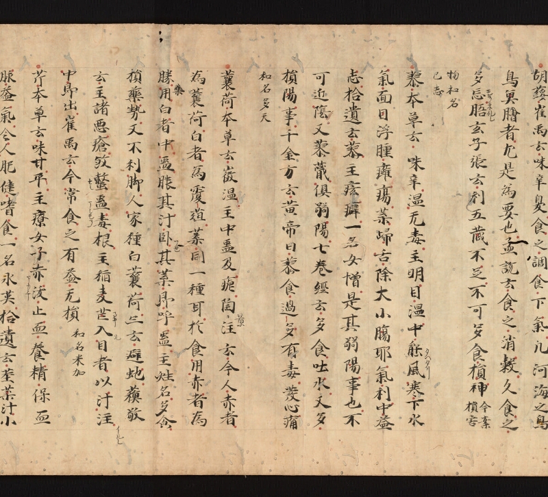 e国宝 - 医心方　巻三十　證類部 - ページ 48