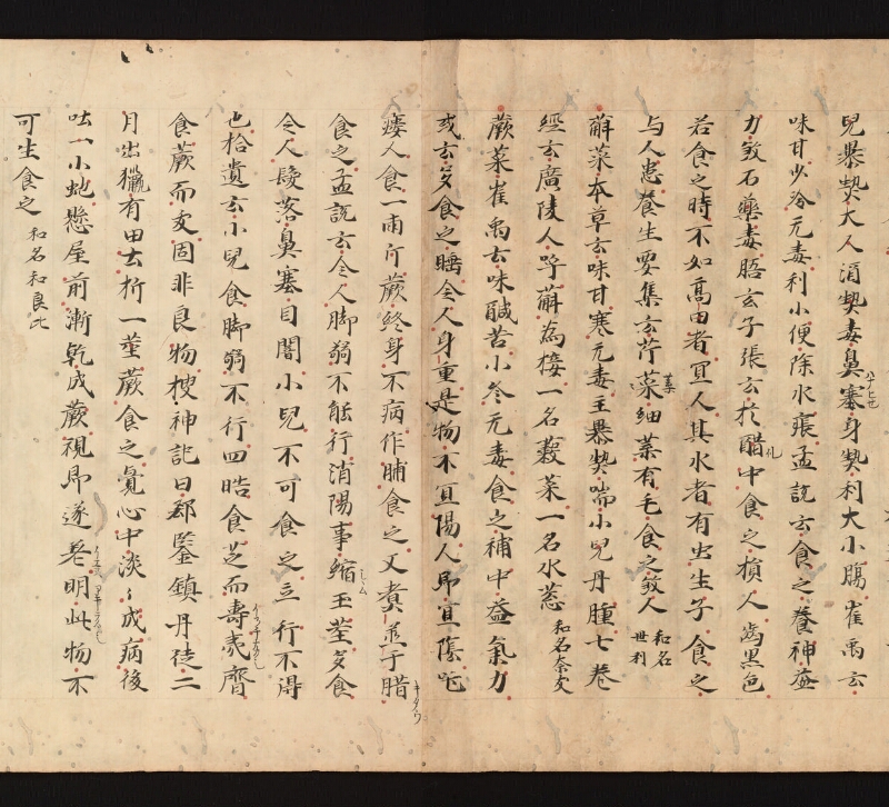 e国宝 - 医心方　巻三十　證類部 - ページ 49