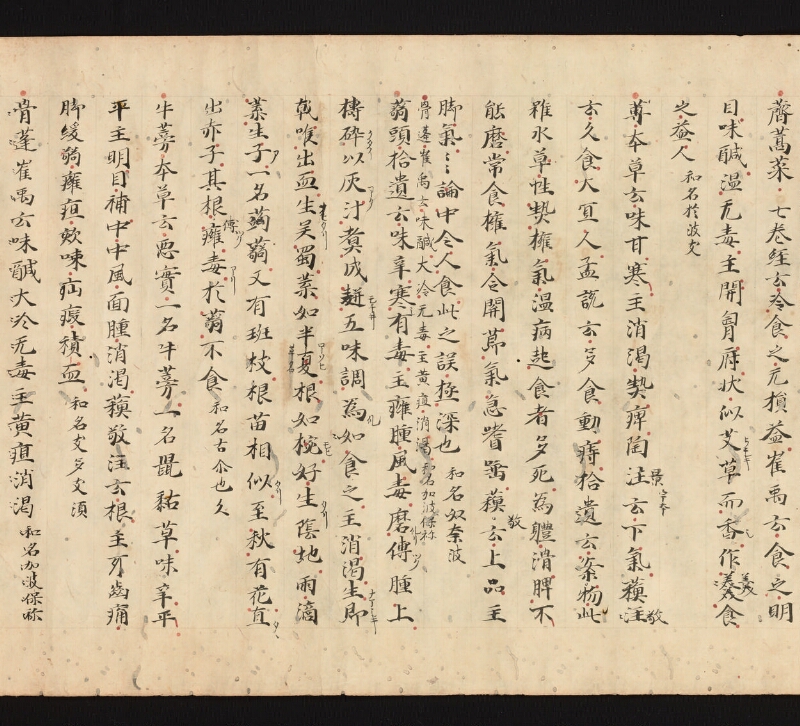 e国宝 - 医心方　巻三十　證類部 - ページ 50