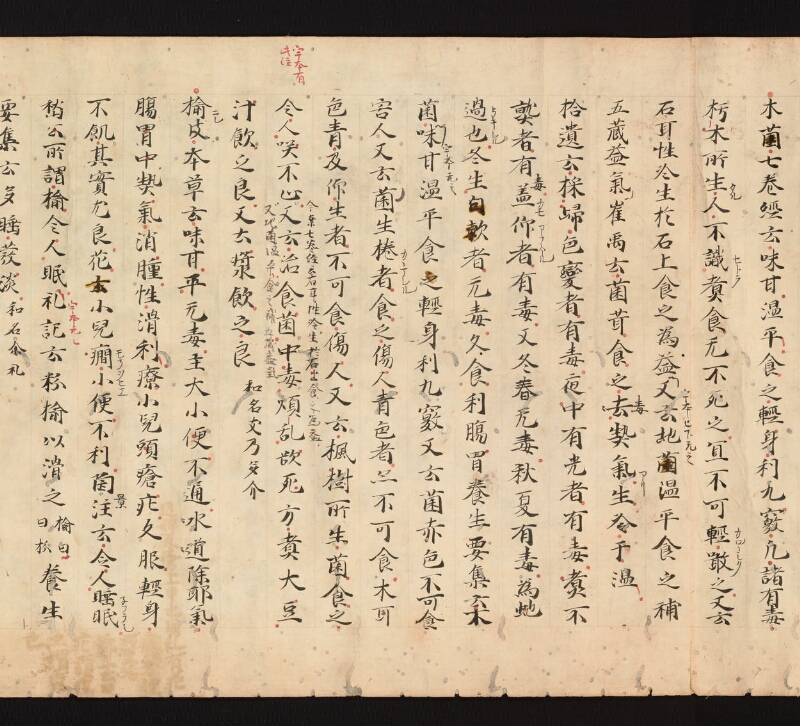 e国宝 - 医心方　巻三十　證類部 - ページ 51