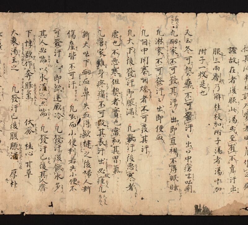 e国宝 - 医心方　巻一　治病大體部 - ページ 11