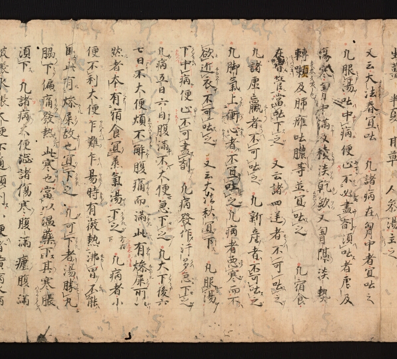 e国宝 - 医心方　巻一　治病大體部 - ページ 12