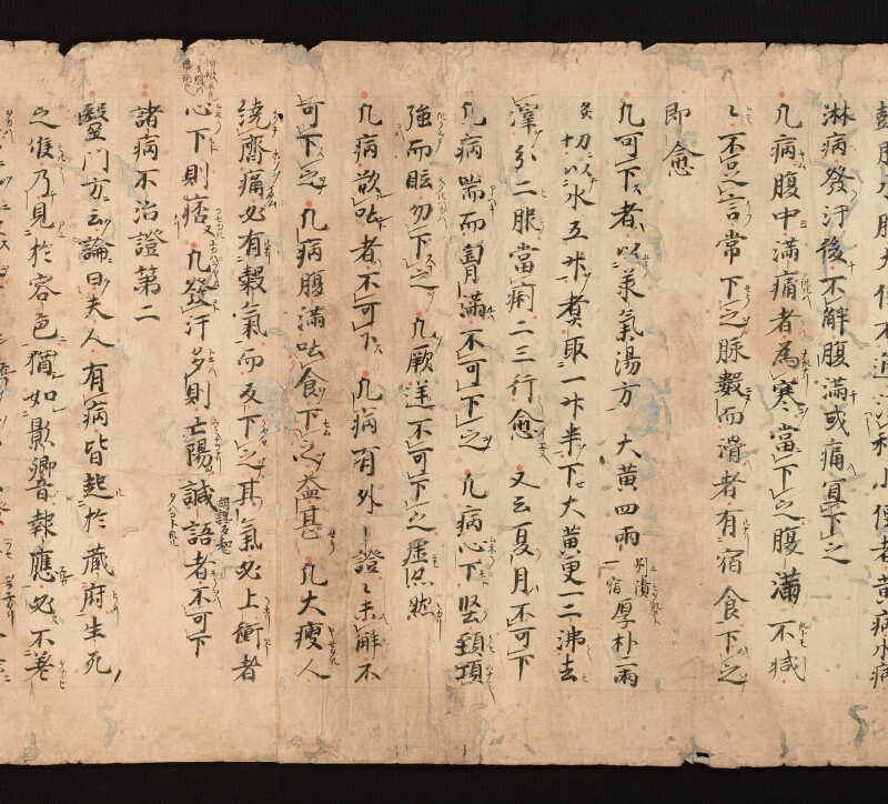 e国宝 - 医心方　巻一　治病大體部 - ページ 13