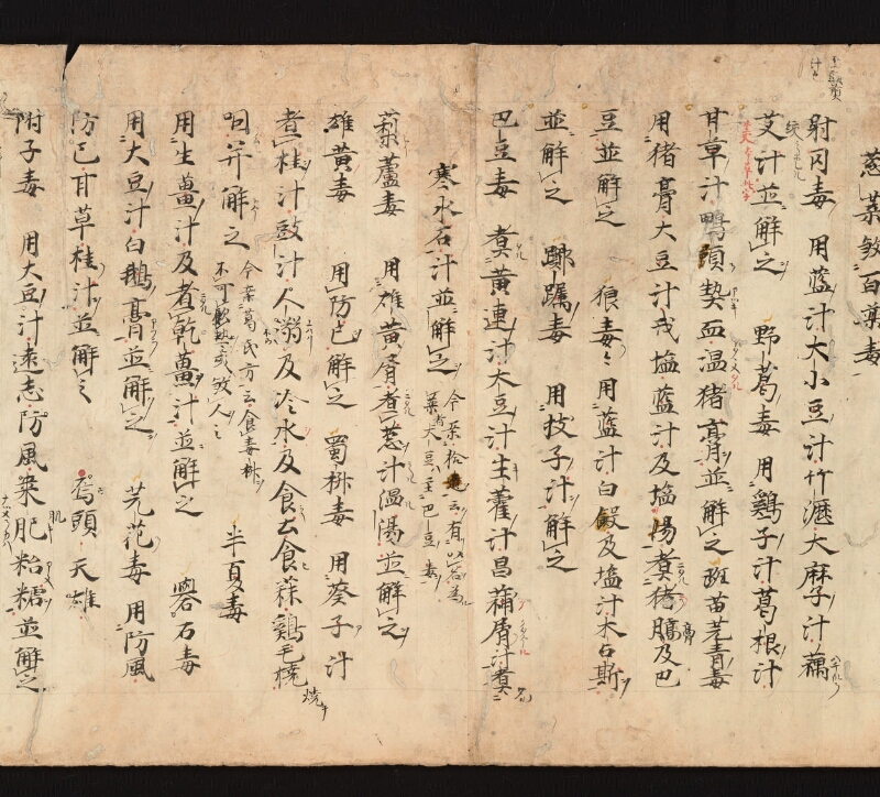 e国宝 - 医心方　巻一　治病大體部 - ページ 31
