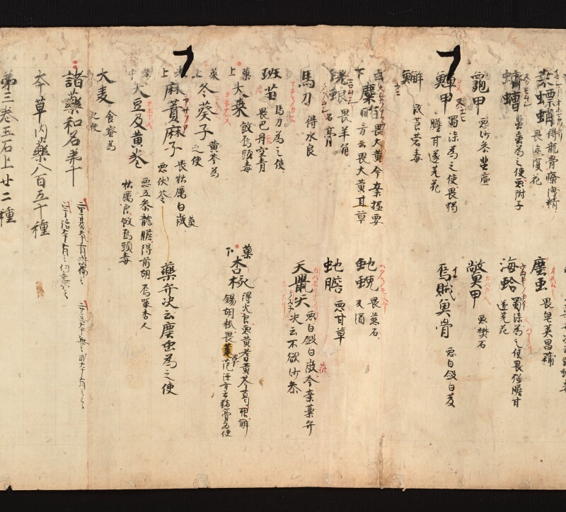 e国宝 - 医心方　巻一　治病大體部 - ページ 51