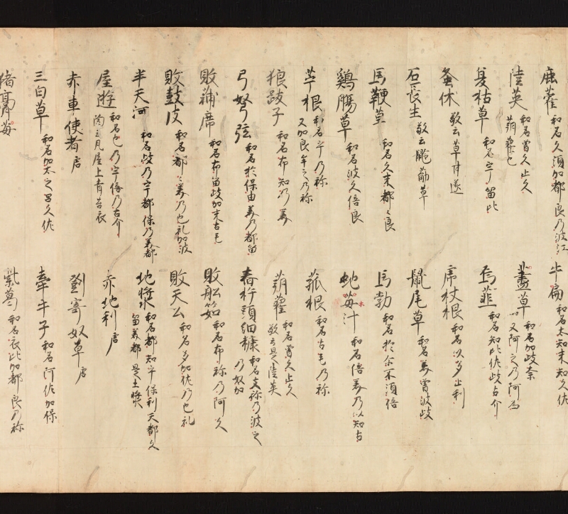 e国宝 - 医心方　巻一　治病大體部 - ページ 61