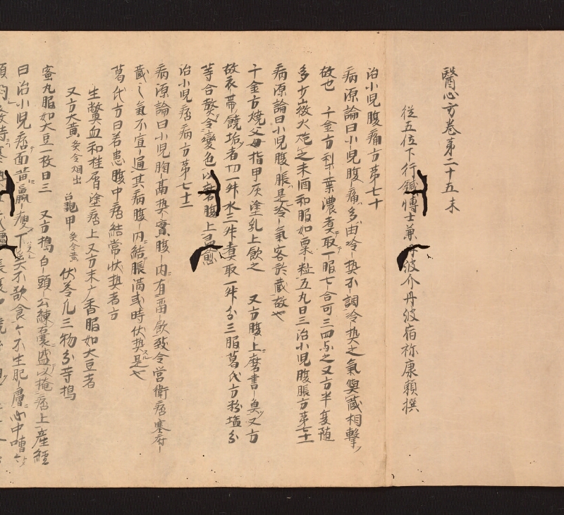 e国宝 - 医心方　巻二十五（二）　小児部 - ページ 2