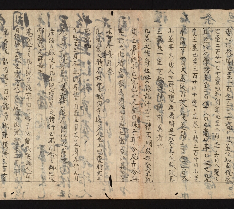 e国宝 - 医心方　巻二十五（一）　小児部 - ページ 14